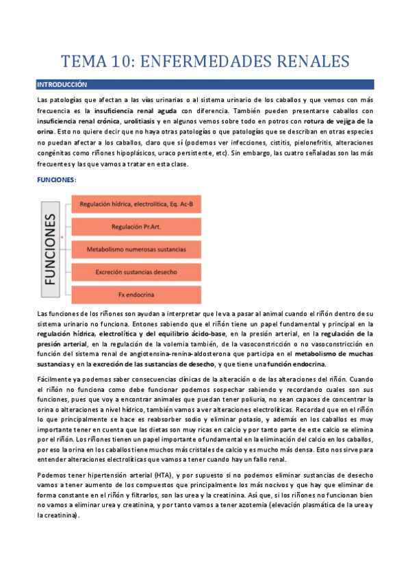 Miniatura del documento Tema-10.-Enfermedades-renales-en-el-caballo.pdf