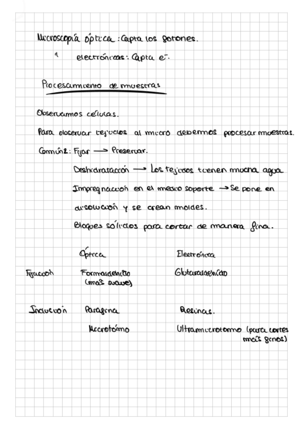 Miniatura del documento practica-3-Biologia-celular.pdf