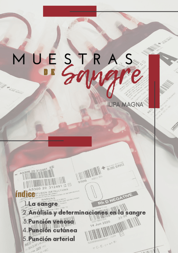 Miniatura del documento Muestras-de-sangre.pdf