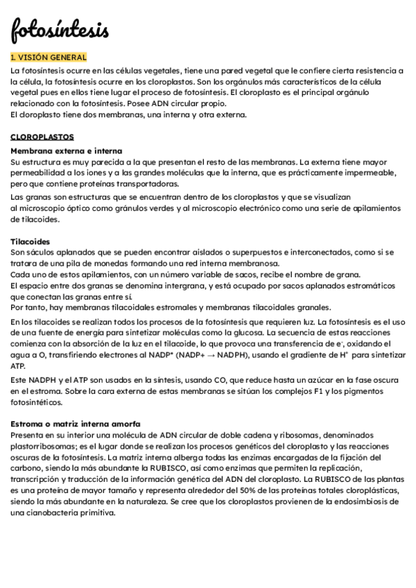 Miniatura del documento TEMA-6-FOTOSINTESIS.pdf