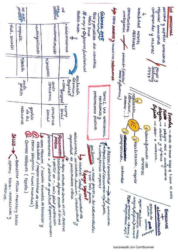 Miniatura del documento esquema-tema-2-inteligencia-emocional-resiliencia-y-pensamiento-positivo.pdf