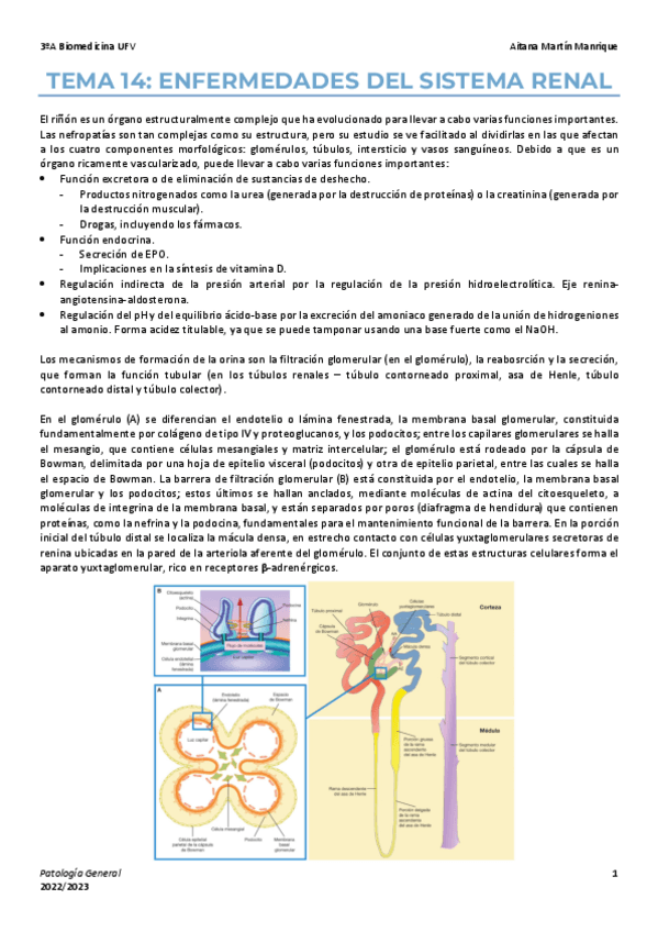 Miniatura del documento Tema-14-enf-sistema-renal.pdf