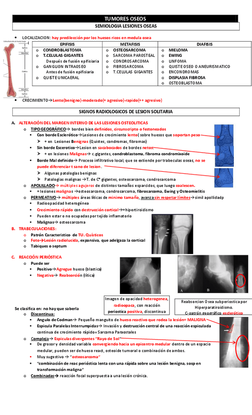 Miniatura del documento 3.TUMORES-OSEOS.pdf