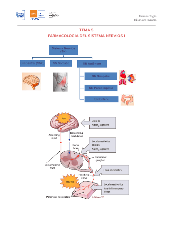 Miniatura del documento T5.-ACABAT.pdf