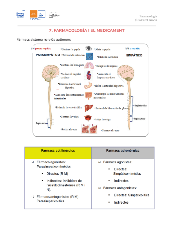 Miniatura del documento T7.ACABAT.pdf