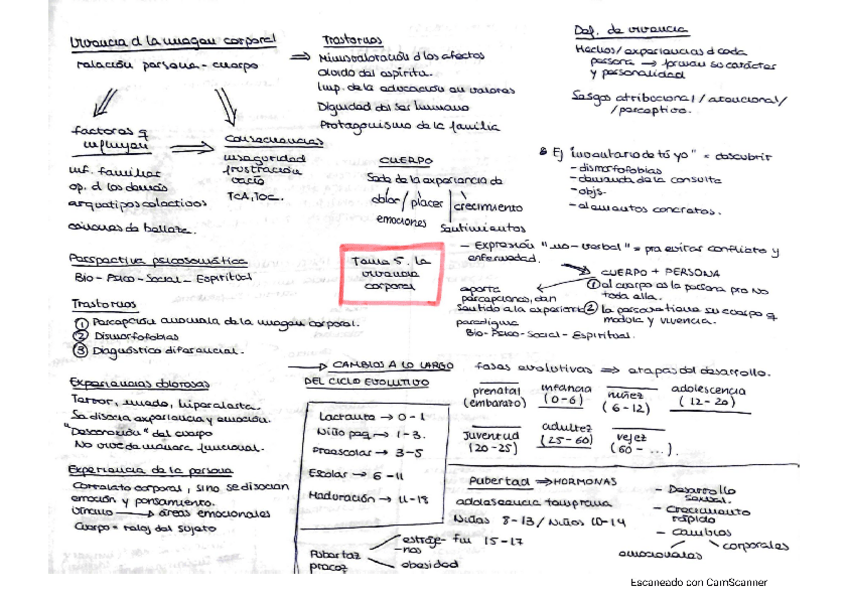 Miniatura del documento esquema-tema-5-la-vivencia-corporal.pdf