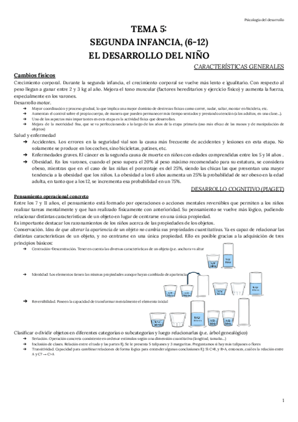 Miniatura del documento TEMA-5-Psicologia-del-desarrollo-en-edad-infantil-CAROLINA.pdf