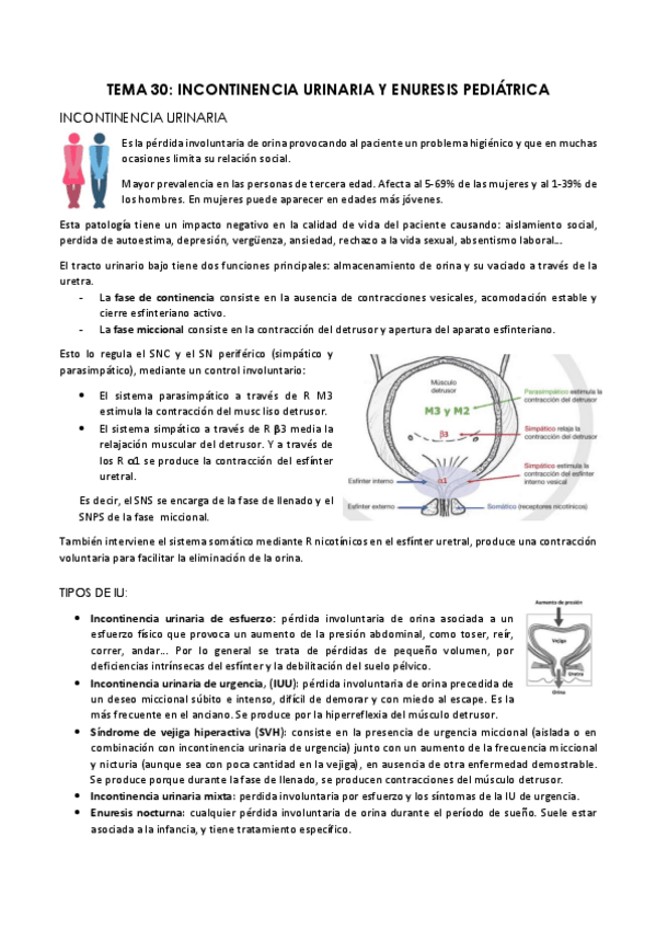Miniatura del documento Incontinencia-urinaria-y-enuresis.pdf