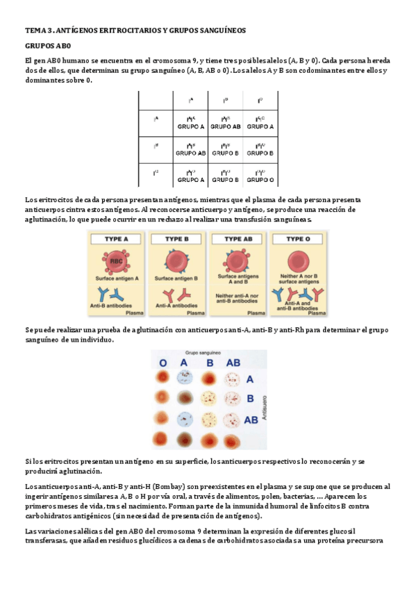 Miniatura del documento TEMA-3.-Antigenos-eritrocitarios-y-grupos-sanguineos.pdf