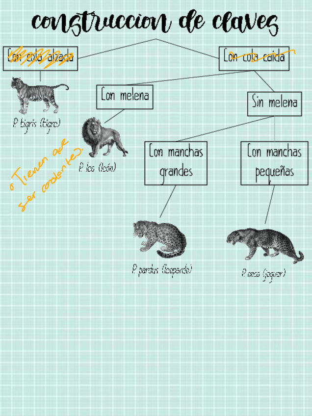 Miniatura del documento Tarea-6-Porras-Vazquez-Samantha-Andrea-Claves-2401.pdf
