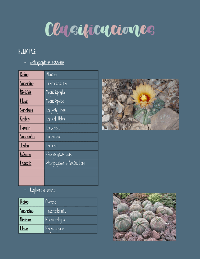 Miniatura del documento Tarea-8-Porras-Vazquez-Samantha-Andrea-Clasificaciones2401-Corregida.pdf