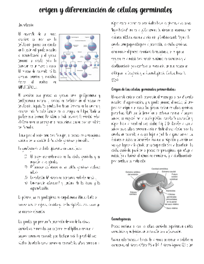 Miniatura del documento Proceso-de-reproduccion-Asexual-y-Sexual.docx.pdf