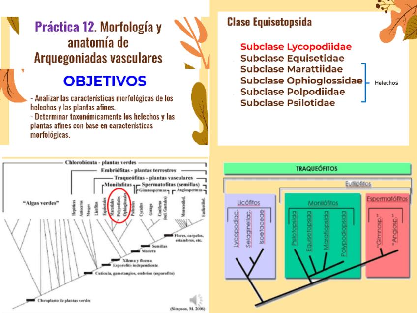 Miniatura del documento Clases-2.pdf