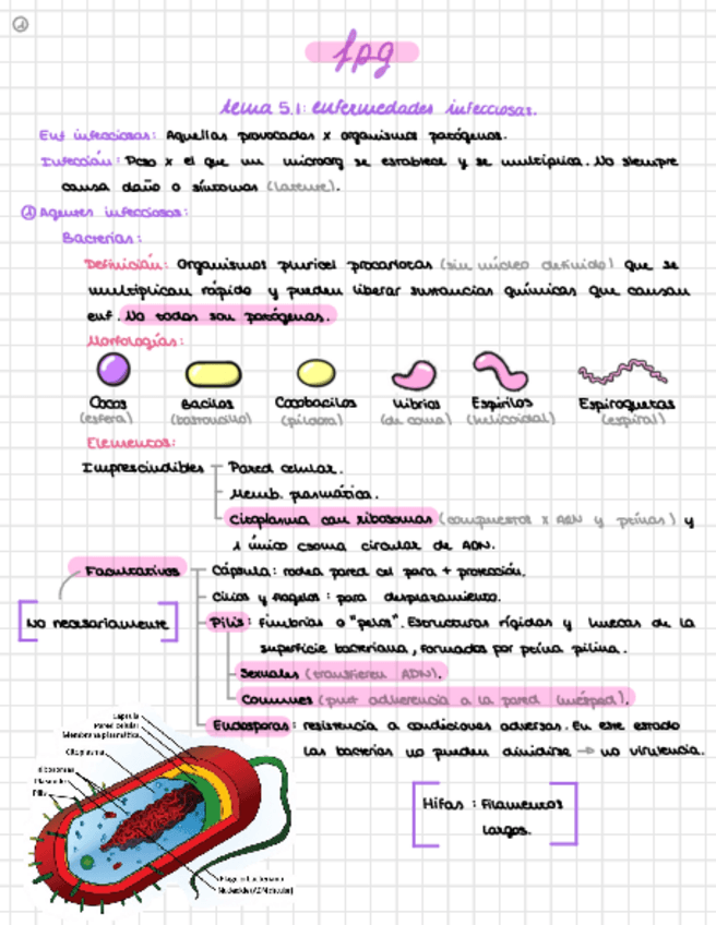 Miniatura del documento FPG-Tema-5-Enfermedades-Infecciosas.pdf