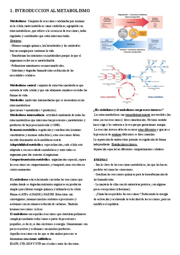 Miniatura del documento 1.-Introduccion.pdf