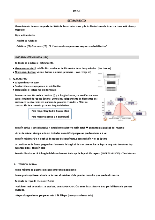 Miniatura del documento RESUMEN-GENERAL-PGF-II.pdf