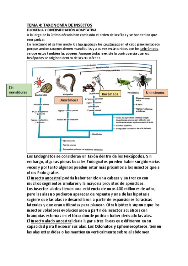 Miniatura del documento Zoologia-4-5-6-7.pdf