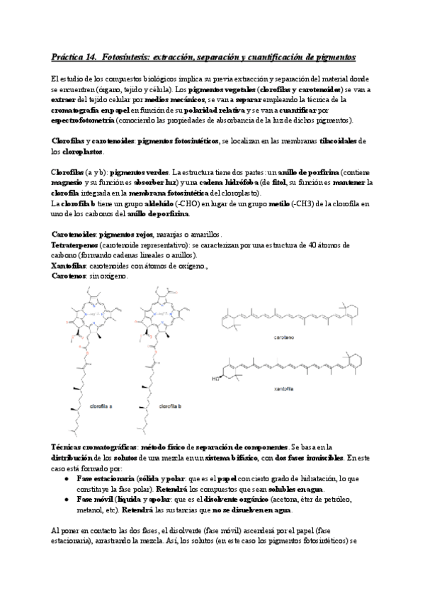 Miniatura del documento Segundo-Parcial-OBL.pdf