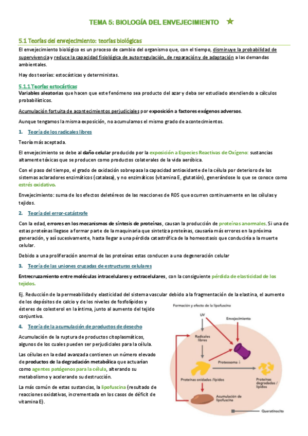 Miniatura del documento TEMA-5-envejecimiento.pdf