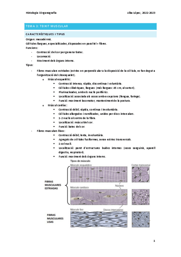 Miniatura del documento Tema-3-teixit-muscular.pdf