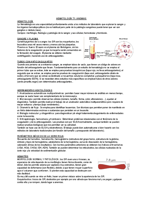 Miniatura del documento HEMATOLOGIA-ANEMIAS-T1.pdf