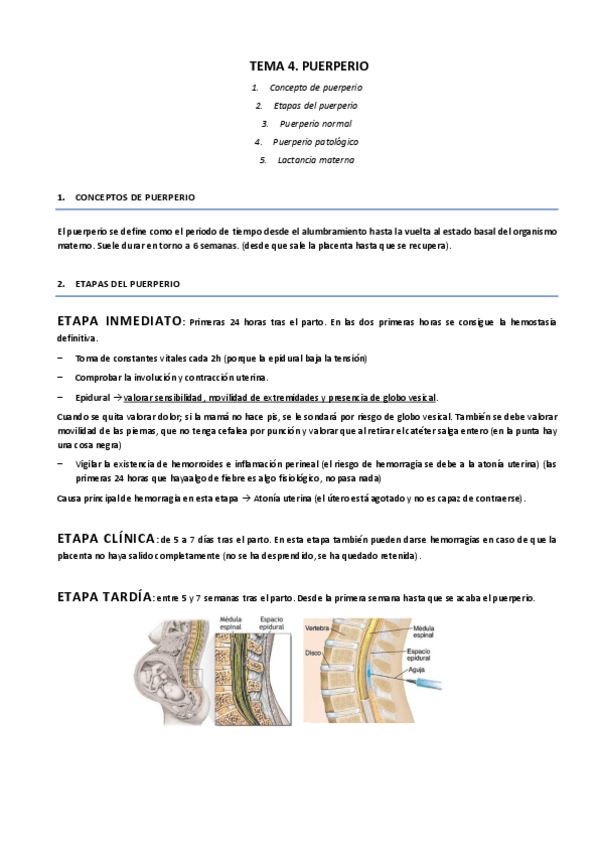 Miniatura del documento TEMA-4.pdf