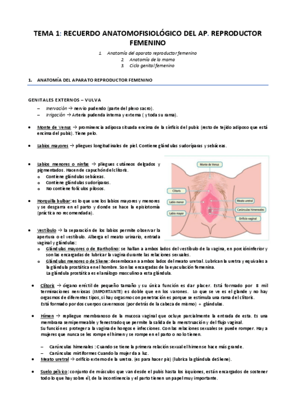 Miniatura del documento TEMA-1.pdf
