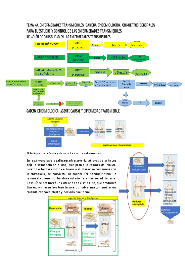 Miniatura del documento TEMA-4A.-ENFERMEDADES-TRANSMISIBLES.-CADENA-EPIDEMIOLOGICA-CONCEPTOS-GENERALES.pdf