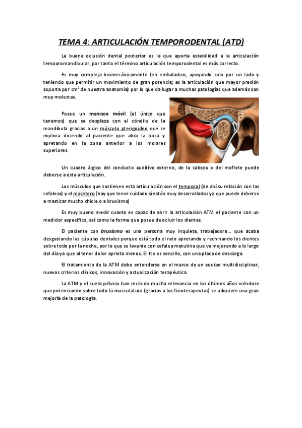 Miniatura del documento Articulacion-temporomandibular.pdf