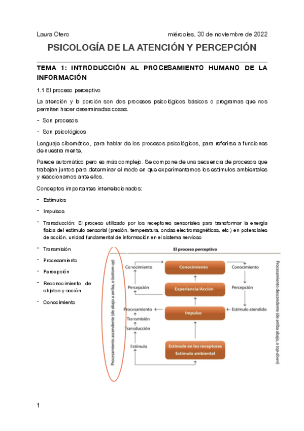 Miniatura del documento ATEN.-Y-PERCP.-EXAMEN-pdf.pdf