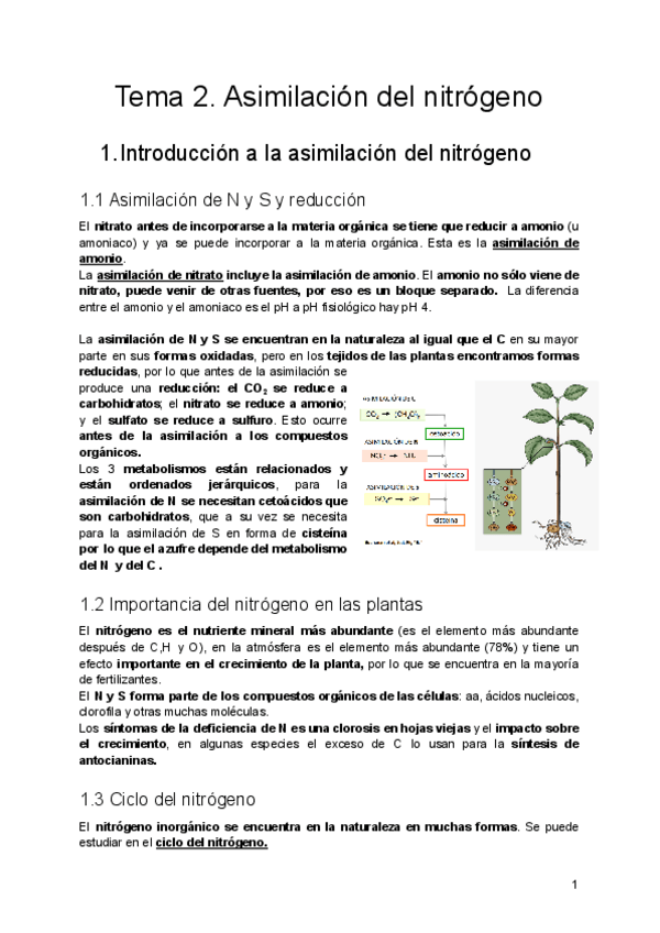 Miniatura del documento Tema-2.-Asimilacion-del-nitrogeno.pdf