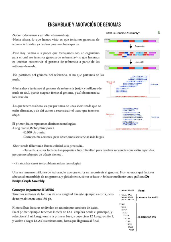 Miniatura del documento GenomicaGenoma-Assembly-apuntes.pdf