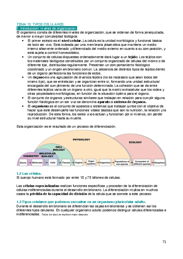 Miniatura del documento Biologia-T13.pdf