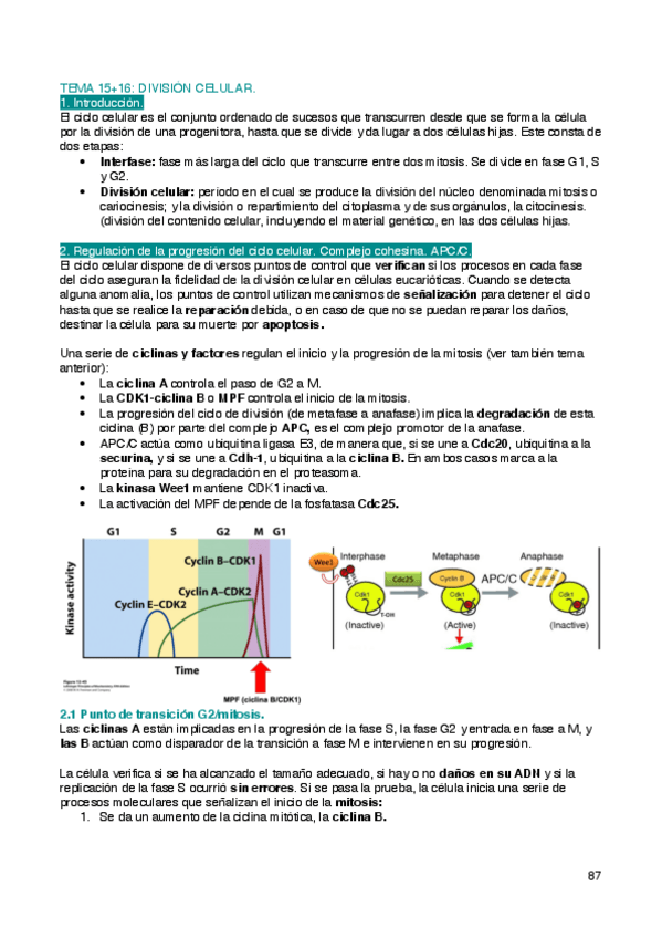 Miniatura del documento Biologia-T15-16.pdf