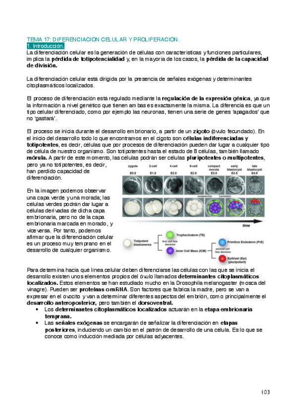 Miniatura del documento Biologia-T17.pdf