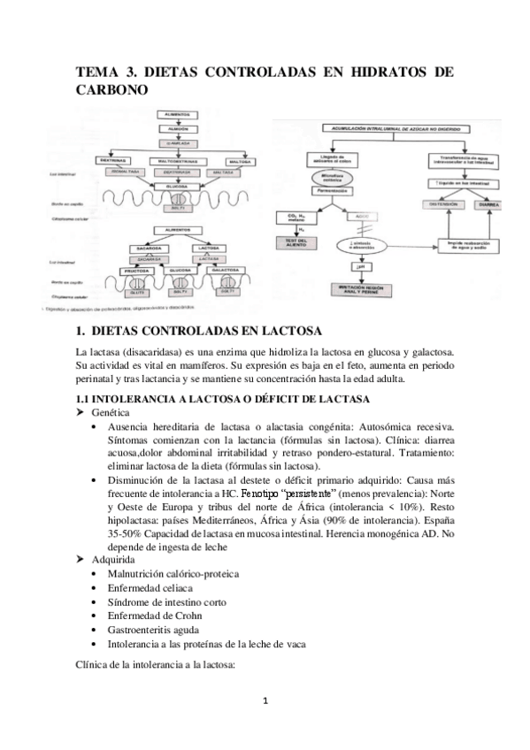 Miniatura del documento TEMA-3.-DIETAS-CONTROLADA-EN-HIDRATOS-DE-CARBONO.pdf