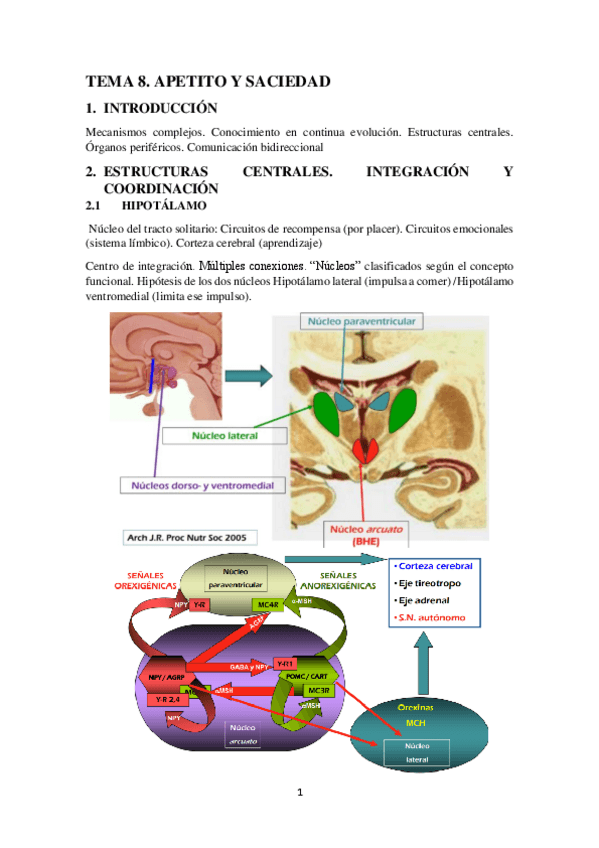 Miniatura del documento TEMA-8.-APETITO-Y-SACIEDAD.pdf
