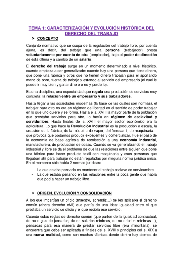 Miniatura del documento APUNTES-DERECHO-LABORAL.pdf