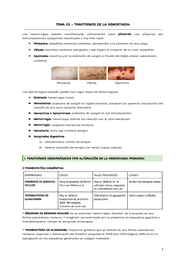 Miniatura del documento TEMA-20-TRASTORNOS-DE-LA-HEMOSTASIA.pdf