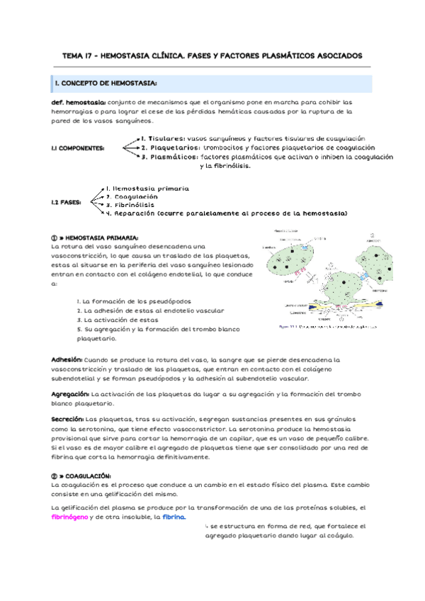 Miniatura del documento TEMA-17-HEMOSTASIA-CLINICA-2.pdf