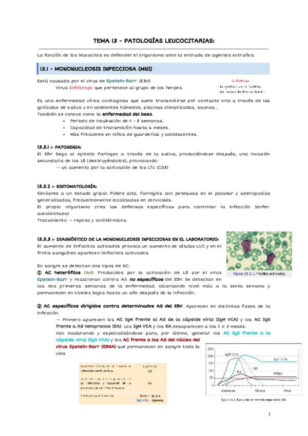 Miniatura del documento TEMA-13-PATOLOGIAS-LEUCOCITARIAS-2.pdf