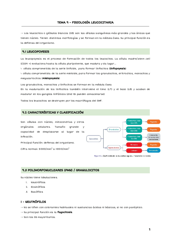 Miniatura del documento TEMA-9-FISIOLOGIA-LEUCOCITARIA.pdf