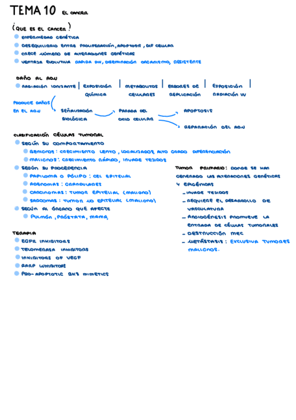 Miniatura del documento TEMA-10.pdf