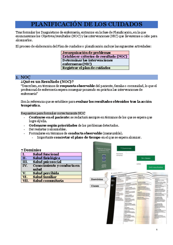 Miniatura del documento Planificacion-de-los-cuidados-NOC-NIC.pdf