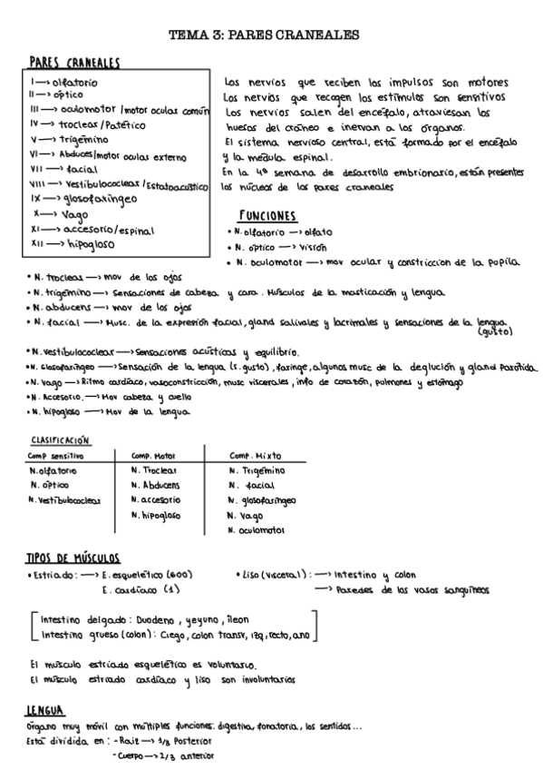 Miniatura del documento Tema-3.-Pares-craneales..pdf