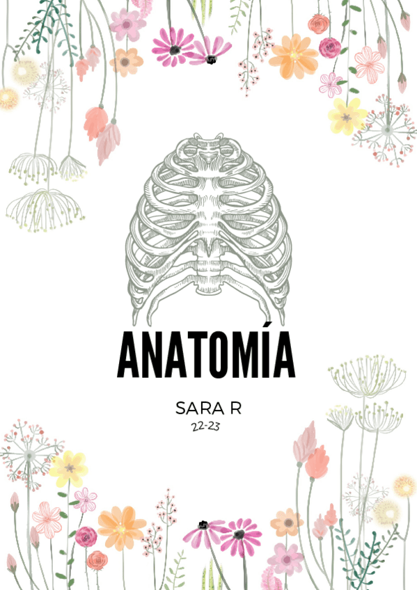 Miniatura del documento apuntes-anato-1er-cuatri.pdf