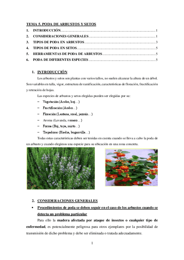 Miniatura del documento TEMA-5.-Poda-de-arbustos-y-setos.pdf
