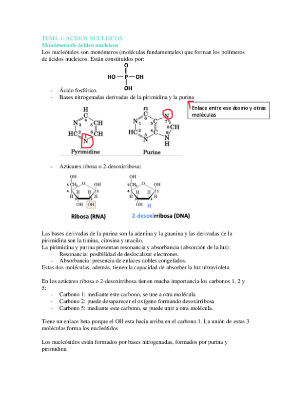 Miniatura del documento TEMA-1-bioquimica.pdf