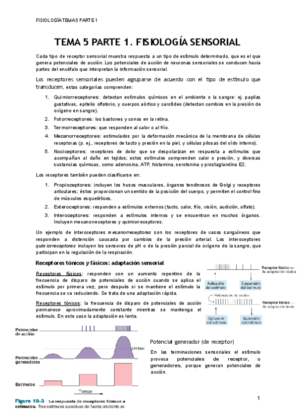 Miniatura del documento TEMA-5-PARTE-1.pdf