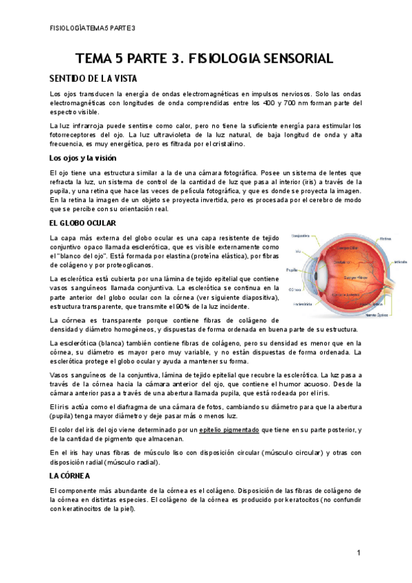 Miniatura del documento TEMA-5-PARTE-3.pdf
